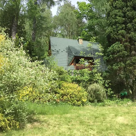 W Lesie * Leki (Myslenice)