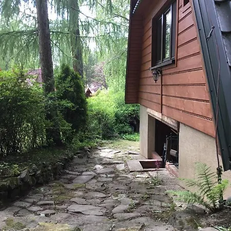 Σαλέ W Lesie Leki (Myslenice)