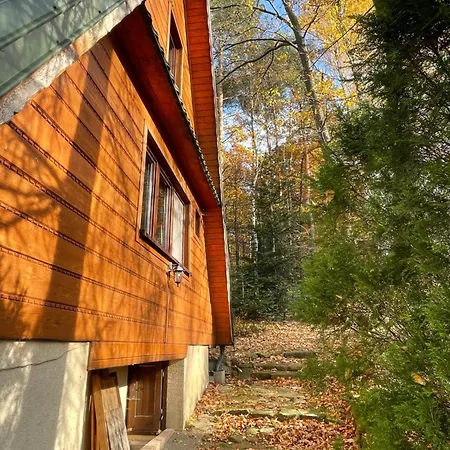 W Lesie Chalet Leki (Myslenice)