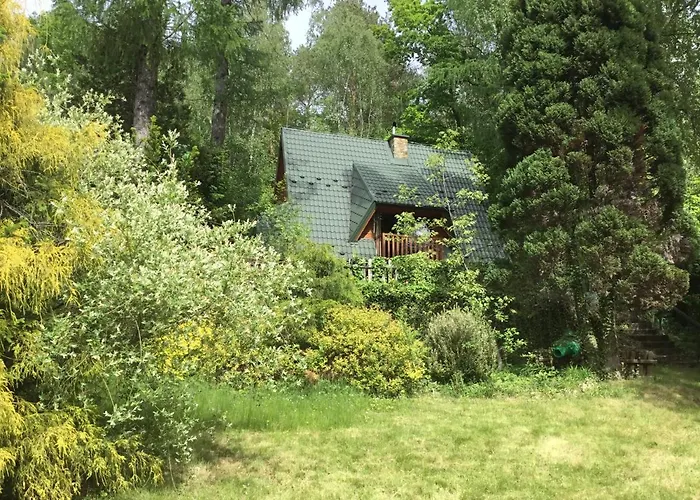 W Lesie * Leki (Myslenice)