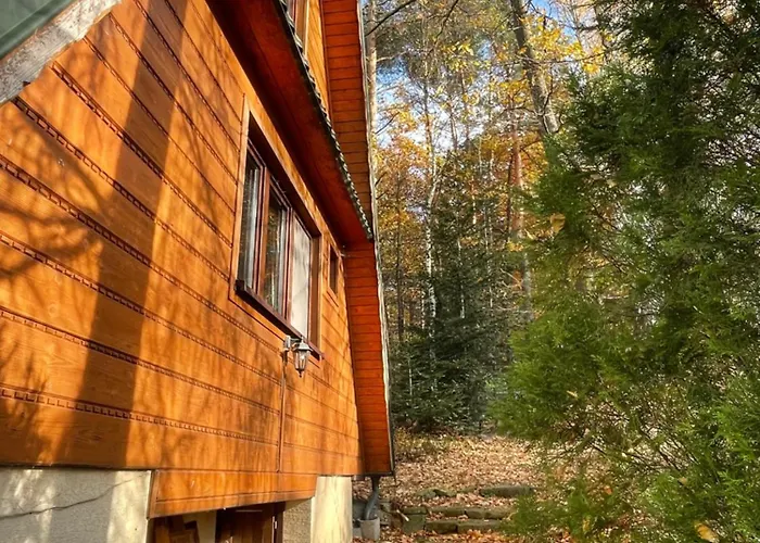 W Lesie شاليه Leki (Myslenice)