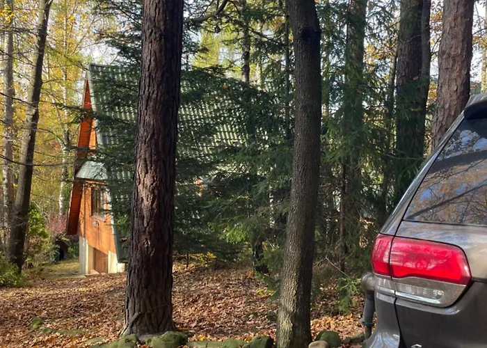 W Lesie شاليه *